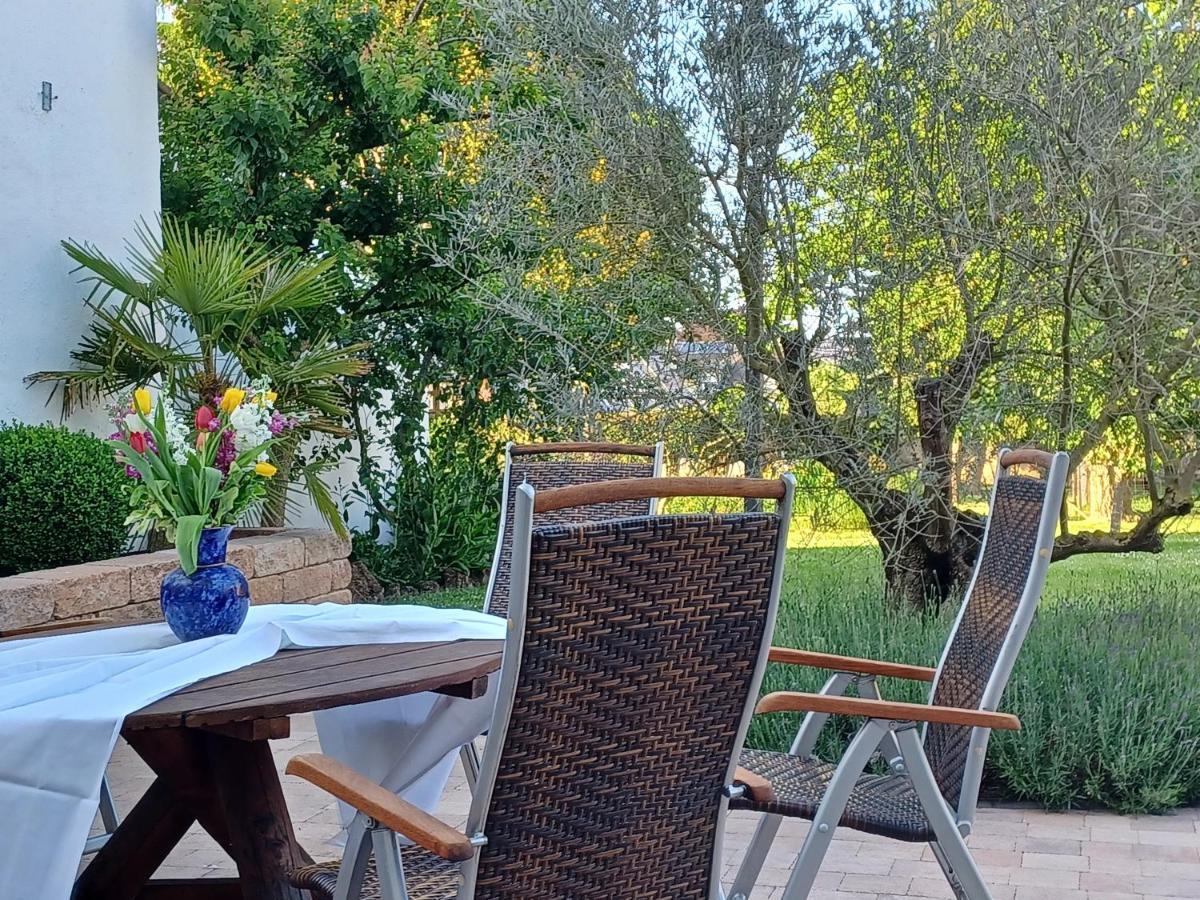Gaestehaus Frevel Homestay Munstermaifeld