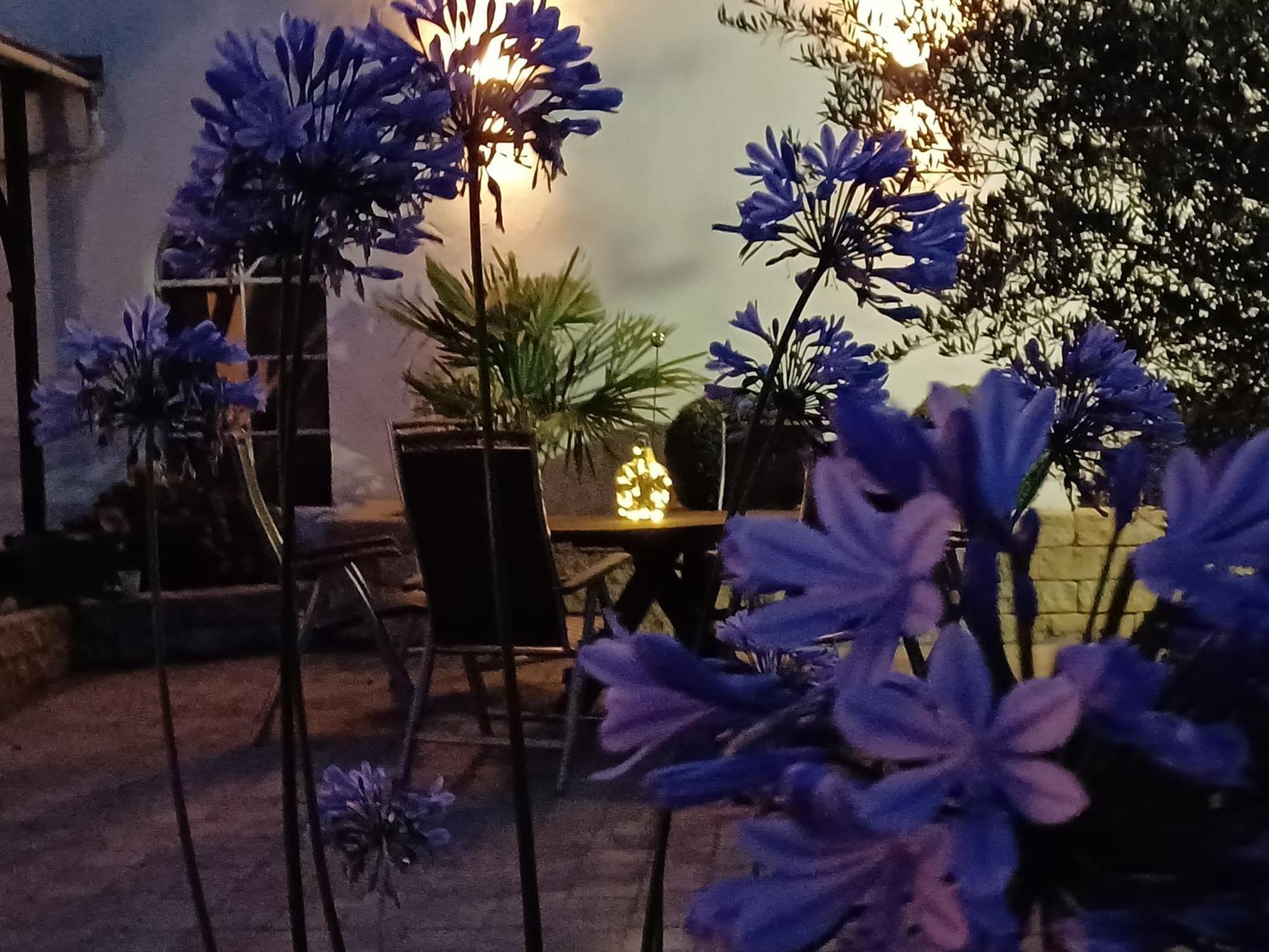 Homestay Gaestehaus Frevel Munstermaifeld